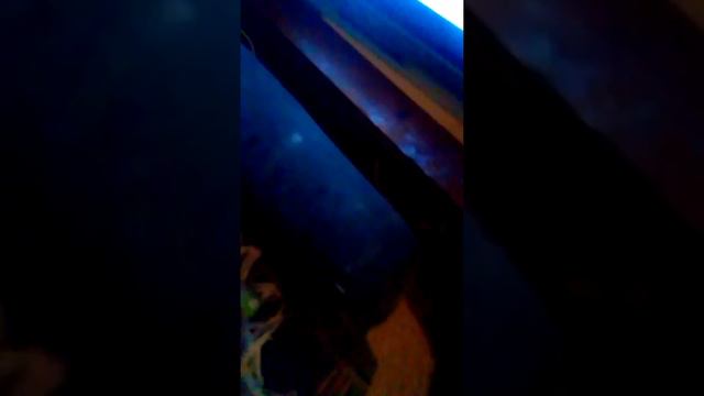 Баскетбол NBA LIVE 07 смотреть онлайн