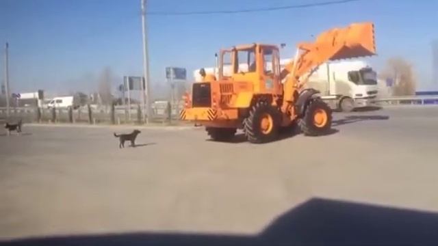 обкатка АМКОДОР 342В смотреть онлайн