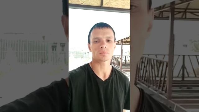 ОБРАЩЕНИЯ К ПРИЗИДЕНТУ ТОКАЕВУ ОТ КРУГЛОЙ СИРОТЫ смотреть онлайн