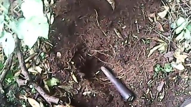 Коп в Новой Зеландии - В погоне за серебрянными монетами смотреть онлайн