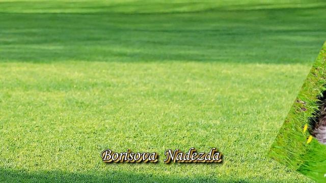ПАСХАЛЬНЫЙ КАЛЕЙДОСКОП. Вязание крючком. Дизайн Надежды Борисовой. Автор ролика Александр Борисов. смотреть онлайн