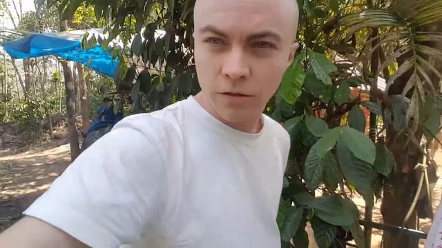 Индия, Влог 6/21 - Муннар, чайные плантации, аюрведа, катание на слонах... смотреть онлайн