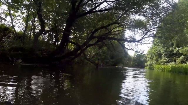 Марафон Налибоки 2020 смотреть онлайн