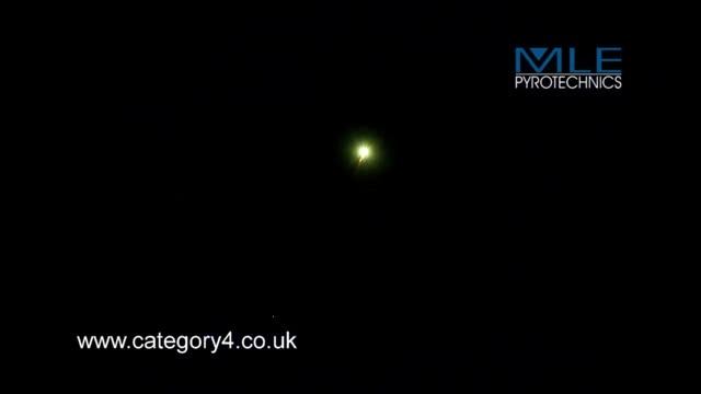 100mm Green chrysanthemum 63913417 смотреть онлайн