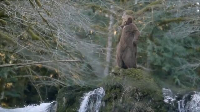 Wild and Scenic Film Festival 2015 смотреть онлайн
