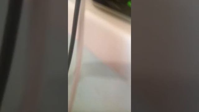 Genius Валит (цвет настроения чёрный) смотреть онлайн