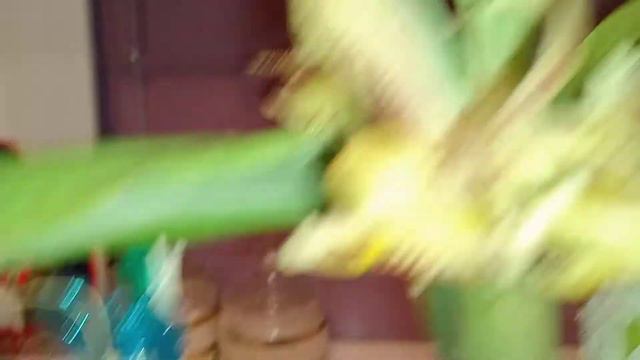 Catasandra Jumbo Express Катасандра Джамбо Экспресс смотреть онлайн