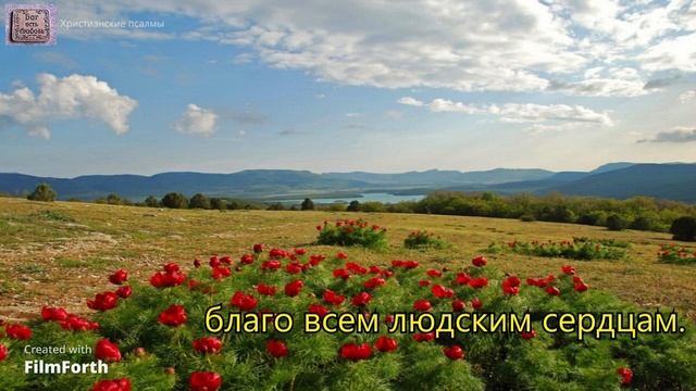 Вера, вера, вера каждому нужна._Пилигрим_. смотреть онлайн