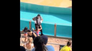 Tom the Mime