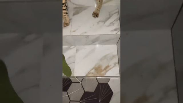 Отдай крем 🧴 смотреть онлайн