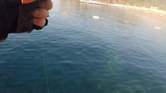 Рыбалка 2019. Турция. Кемер. смотреть онлайн