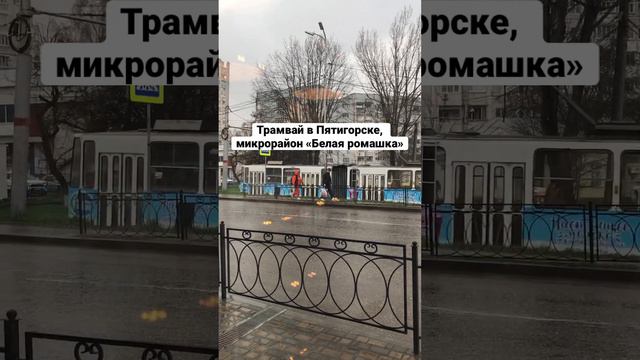Трамвай в Пятигорске, микрорайон «Белая ромашка» смотреть онлайн
