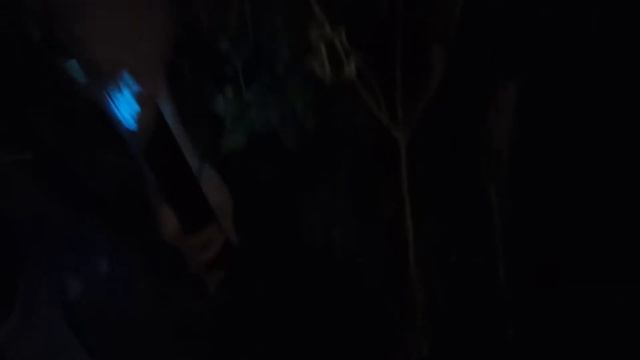 Переезд семьи на юг в деревню Делаю свет под навесом Покупки из Леруа Мерлен / Питерцы смотреть онлайн