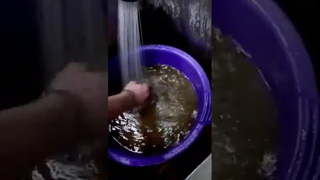 Регенерация фильтра умягчителя 2 смотреть онлайн