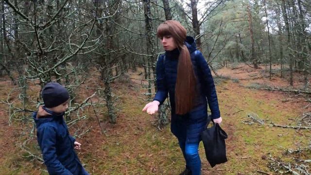 Куршская коса. Зеленушки, маслята в последний день октября. смотреть онлайн