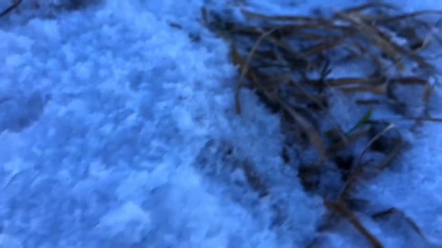 Начало зимы. •ПЯТАКИ НА ПЛАНЕТЕ• смотреть онлайн