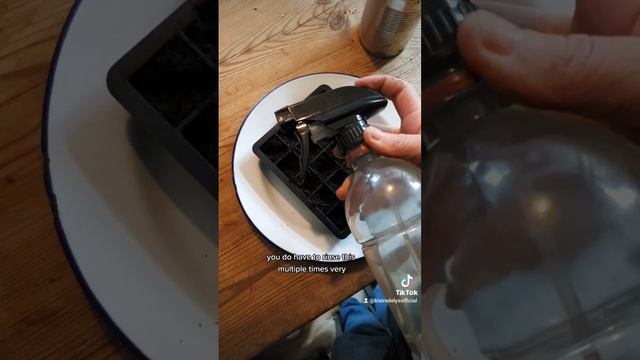 How To Start A Windowsill Food Garden смотреть онлайн