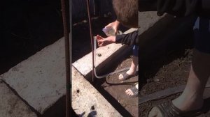Гидроуровень просто, #самодельный гидроуровень, #фундамент,