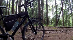 Велосипед для всего и руль бабочка.