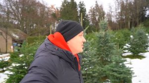 Рождественская ёлка. Поехали в лес выбирать ёлку. ВЛОГ GOA family