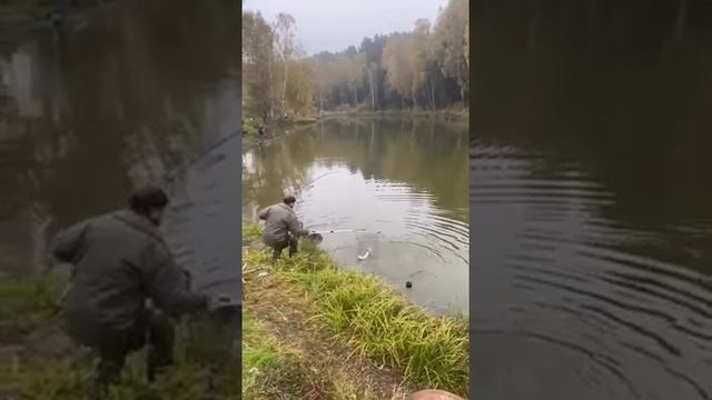 3 октября 2021 г. смотреть онлайн