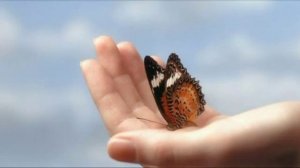 Андрей Гуров - Бабочка в руках - Песня Притча