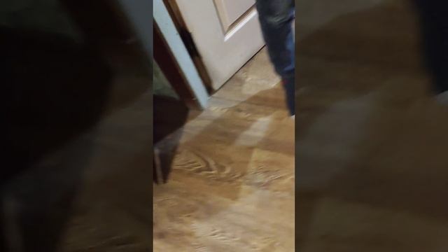 меня побил грифер смотреть онлайн
