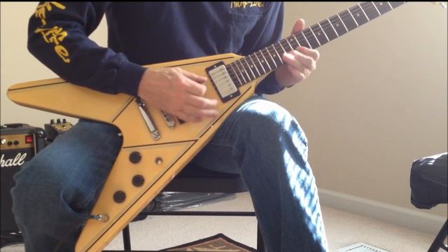Tough Guys - REO Speedwagon (guitar cover) смотреть онлайн