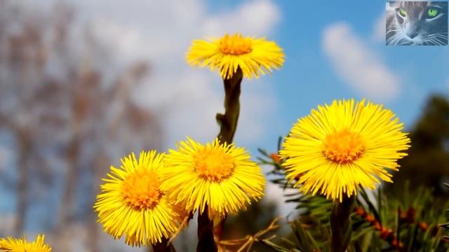 Народный праздник «Святой Илларион». Приметы на 10 апреля.  Что нельзя делать и что можно.