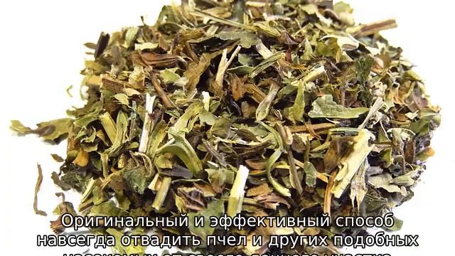 Как избавиться от пчел на даче