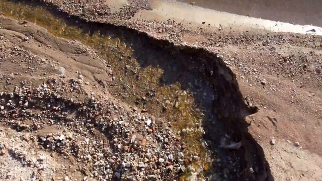 Путешествие по Северной Двине. ШОК! Ночью пришли ЛОСИ! смотреть онлайн