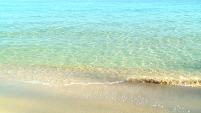 ?Что нас ждёт в 9-й Лунный день с 16.08.15:23 по 17.08.16:50?Лунный календарь. #гороскоп #таро смотреть онлайн