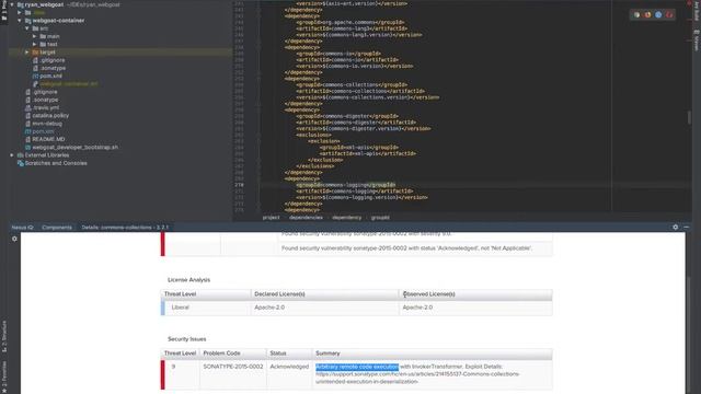 IntelliJ and Vulnerability Search with Nexus IQ Server and Nexus Lifecycle смотреть онлайн
