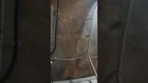 Дистанционное управление котлом Kiturami