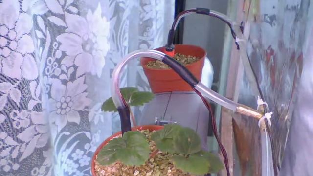 cam 1 20121110 225602 483 смотреть онлайн