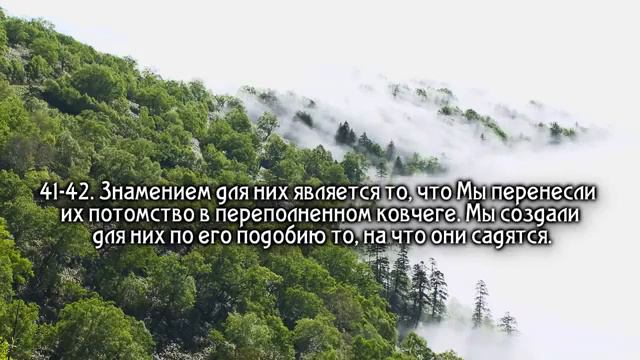 Успокаивающее чтение Корана. Сура, Йасин смотреть онлайн