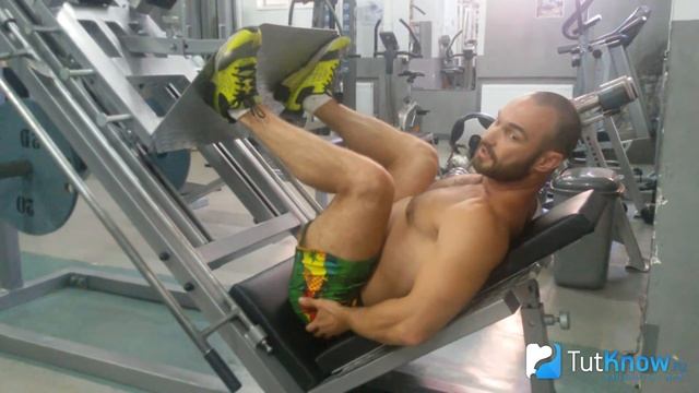 Жим ногами в тренажере: техника выполнения смотреть онлайн