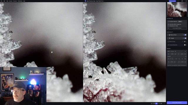 Let's Edit Noisy Winter Macro Shots | #lightroom #topazlabs смотреть онлайн