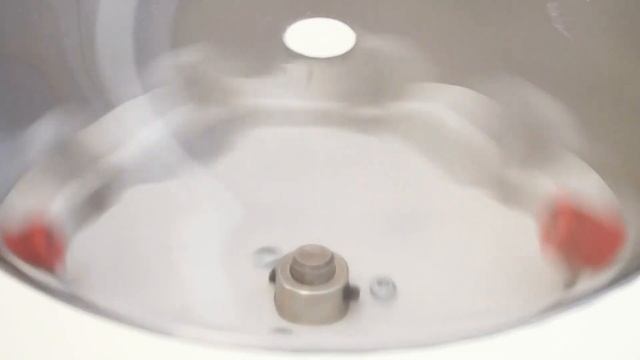 Использование PRF-мембраны при удалении зубов | СЦ «Дентика» смотреть онлайн
