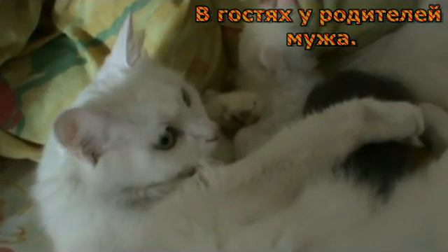 Подготовка К ПАСХЕ! Пасха! В ГОСТЯХ У БАБУШЕК И ДРУГОЕ... смотреть онлайн