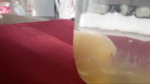 Диагностика негатива яйцом. Расшифровка.  Вольт.