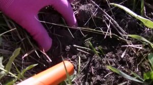 Заброшенная зона с металлоискателем. Приключения в поиске кладов. Поиску монет мешает чермет.