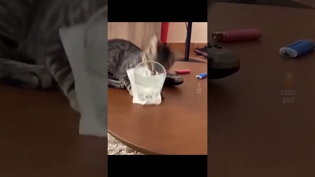 ХВХАХАХАХАХАХАХАХА смотреть онлайн