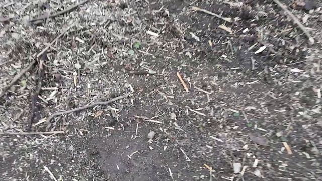 Профессиональная расчистка участка 5 соток за один день в Сочи. #расчисткаучастков #ecowood #sochi