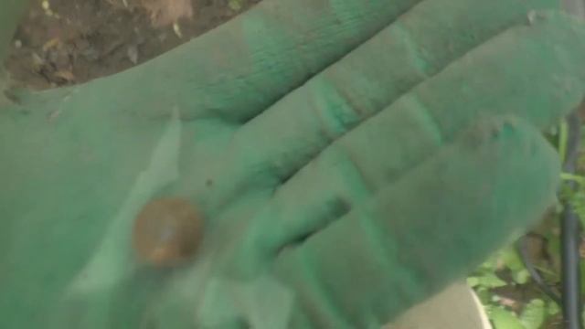 Кладоискатели Путешествие в забытые места смотреть онлайн