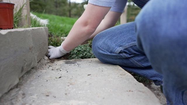 Planting Dreamy Stone Garden Steps With Erigeron Daisies