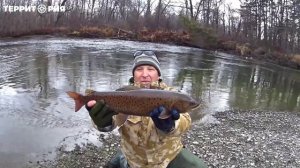 Рыбалка в Хабаровске, река Анюй.