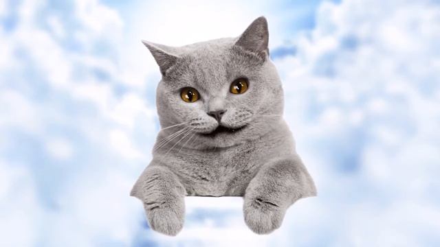 Чудесный котелок смотреть онлайн