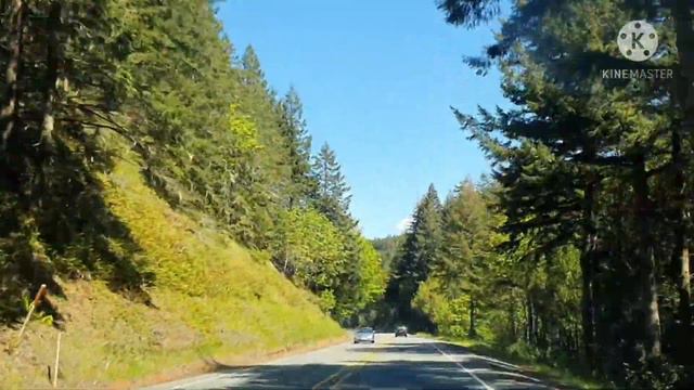 Музыка и дорога 😍🇺🇸California Highway 1️⃣( очень красивая дорога, 1 хайвей над океаном смотреть онлайн