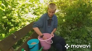 Бокаши своими руками - рецепт ферментированных отрубей.